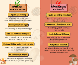 So sánh nấm bào ngư xám Đà Nẵng sạch và nấm không nguồn gốc